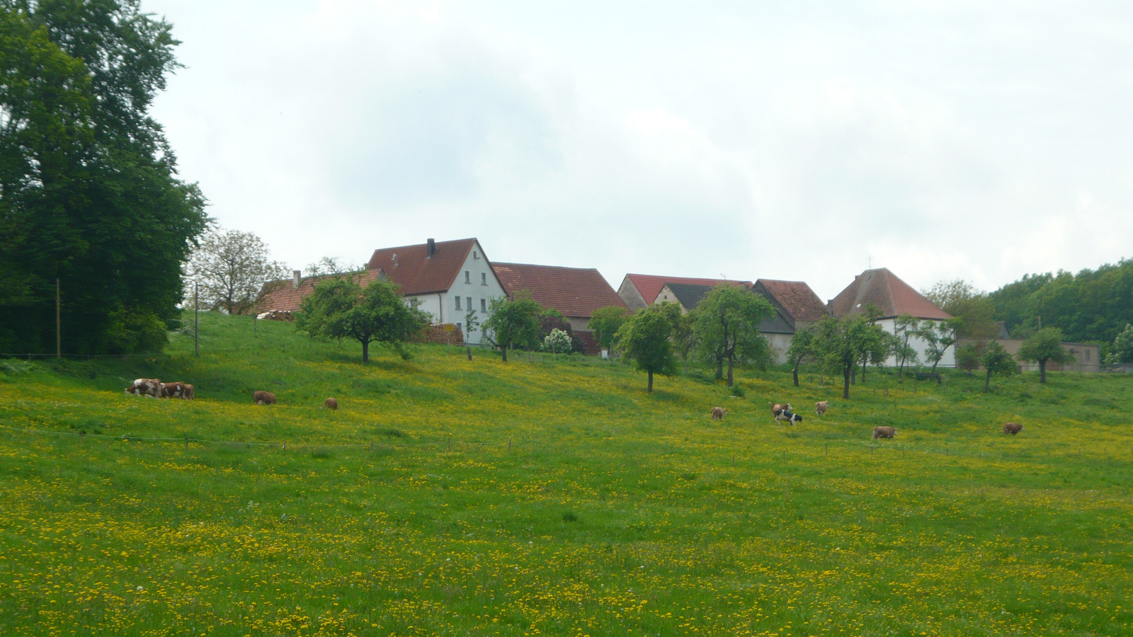  Ortsteil Oberklingen 