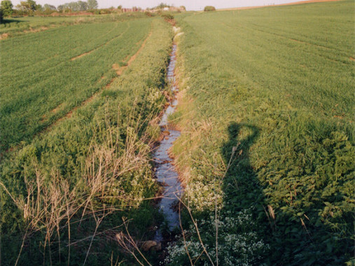  chnüttelgraben, Bestand 1997 